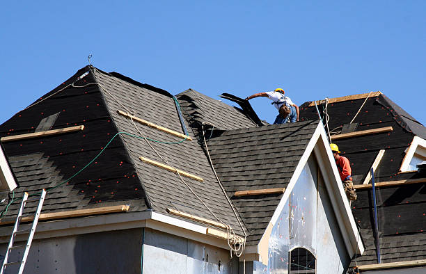 Best Storm Damage Roof Repair  in Tidmore Bend, AL