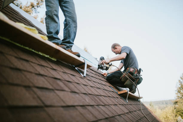 Quick and Trustworthy Emergency Roof Repair Services in Tidmore Bend, AL